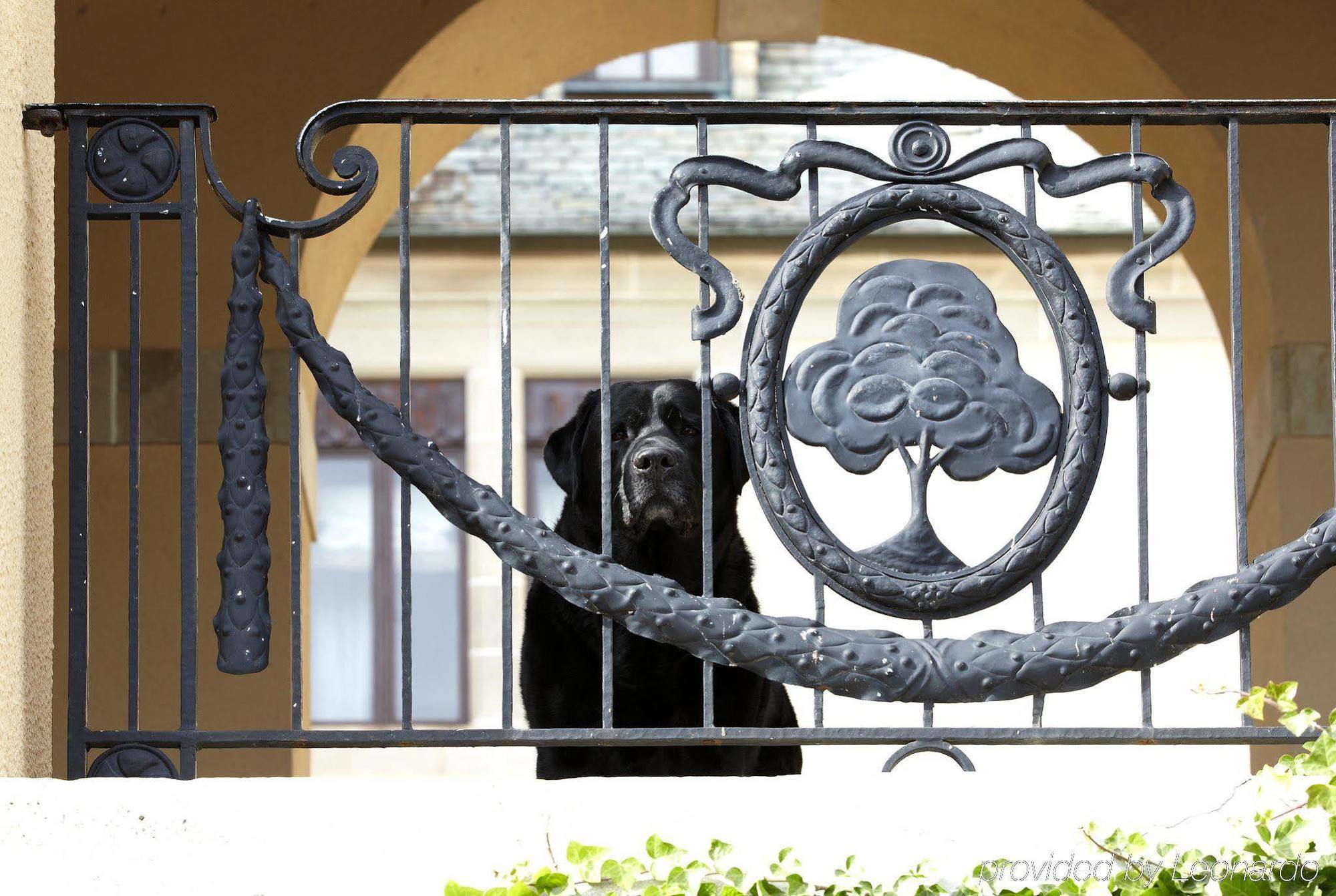 Oheka Castle Hotel & Estate Huntington Exterior foto